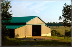 SHADYSIDE LABRADOR Retrievers
